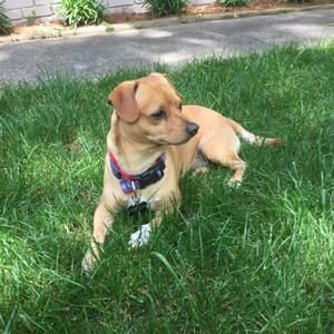 Meet your Posher, Josephine